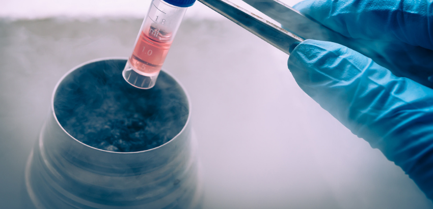 Embryo & Gametes Freezing