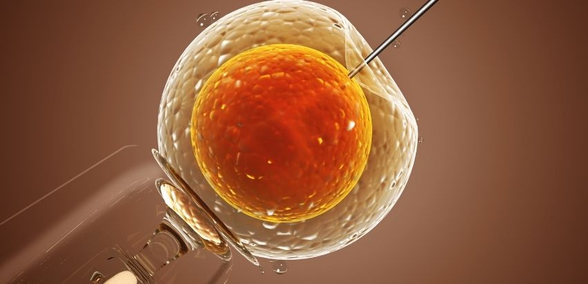 IUI (Intrauterine Insemination)